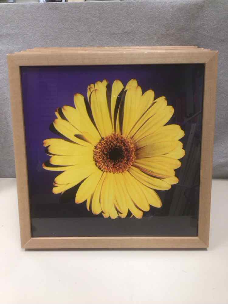 ASSOR BRIGHT FLORAL PIC