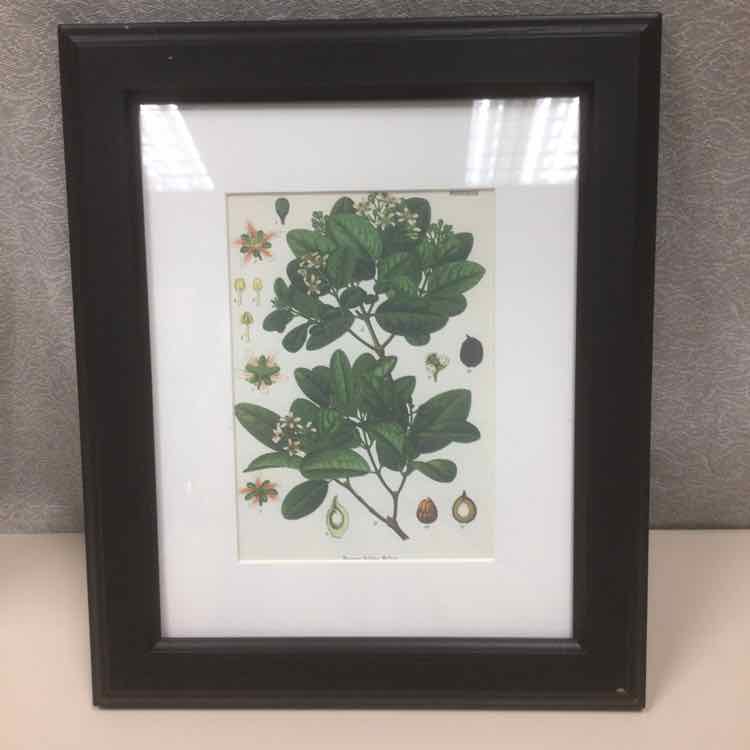 FRAMED HERB DIAGRAM
