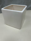 CREAM PLANTER