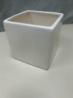 CREAM PLANTER