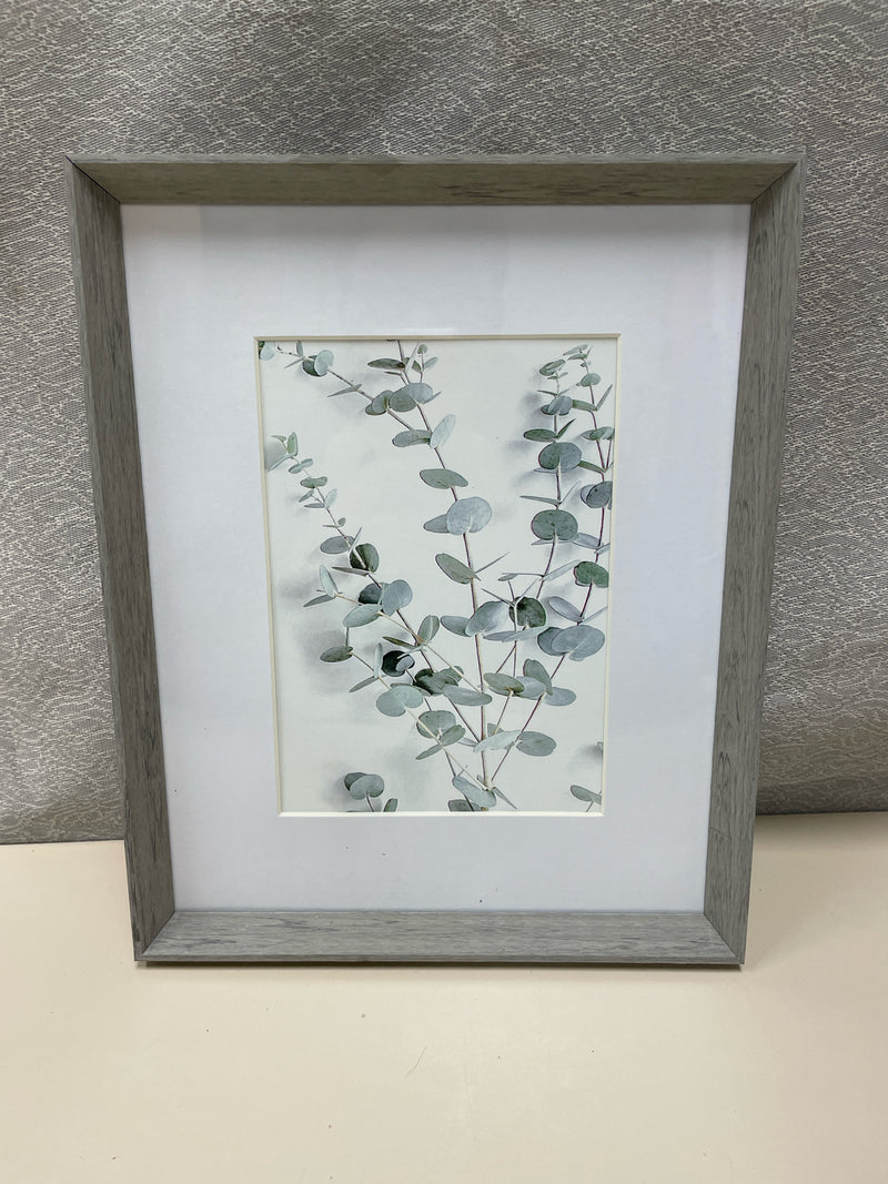 GRAY FRAME PLANT PIC