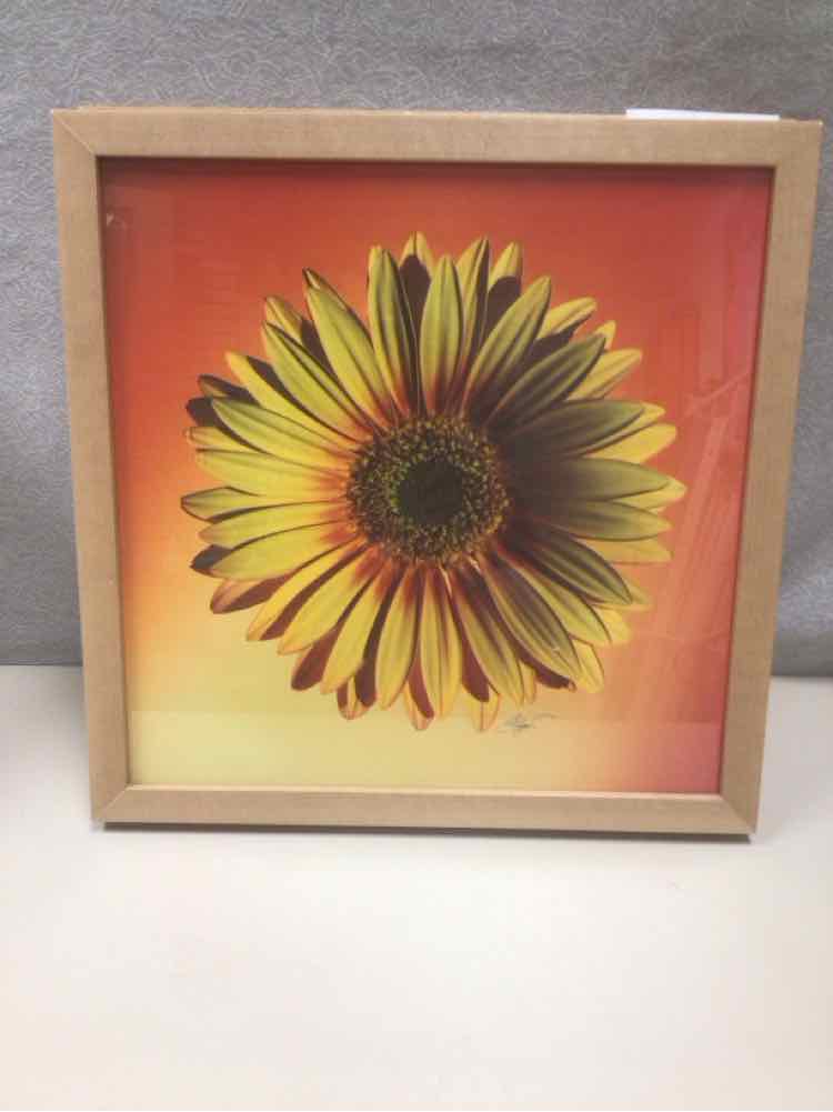 ASSOR BRIGHT FLORAL PIC