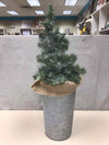 XMAS TREE IN BUCKET W/BURLAP