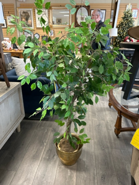 FAUX FICUS IN BRASS PLANTER