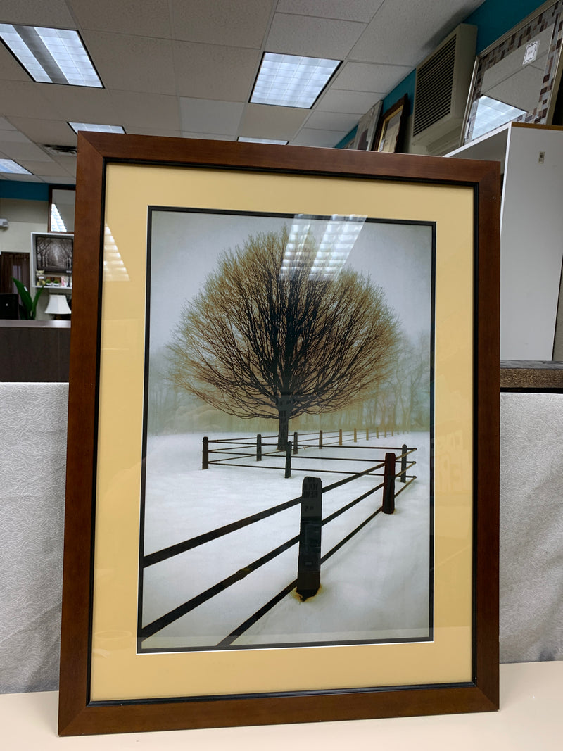 SNOWY FIELD TREE PICTURE