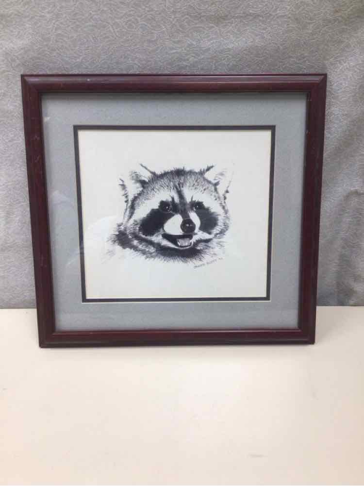 RACCOON PENCIL DRAWING