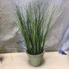LAVENDER IN TERRACOTTA