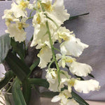 WHITE FLOWERS IN GLASS VASE