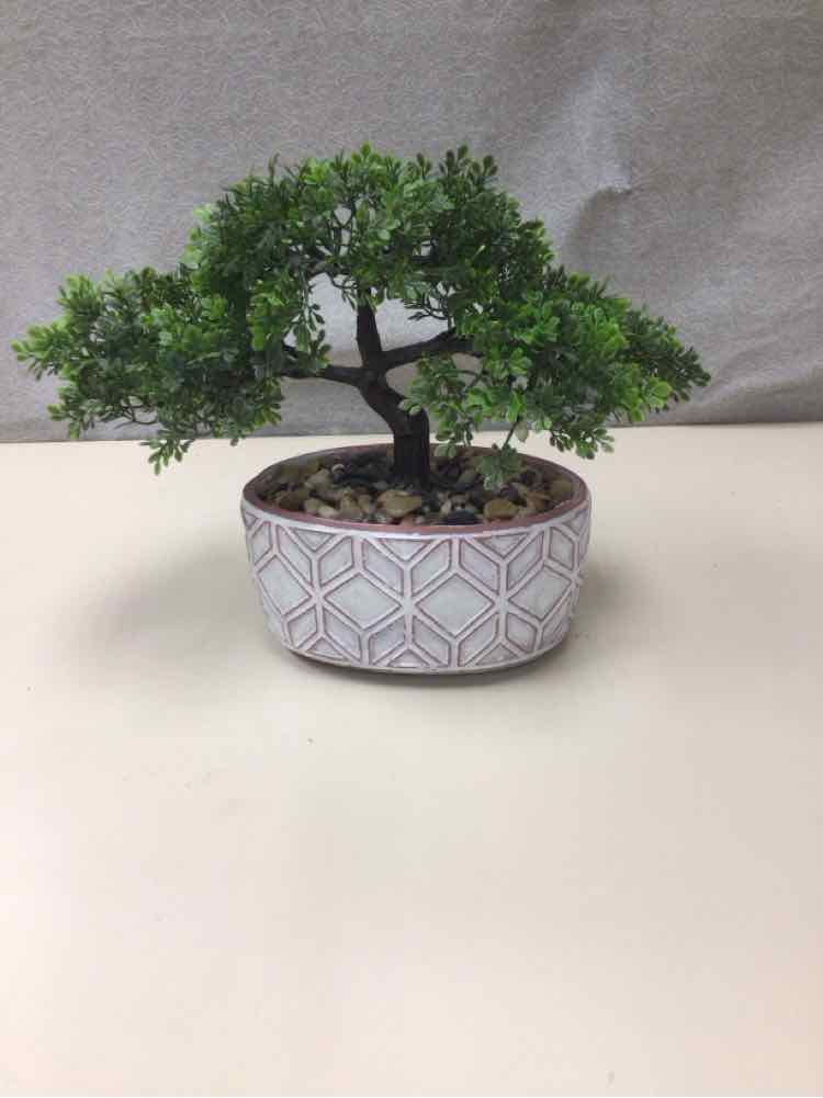 BONSAI TREE WITH CERAMIC PLANTER