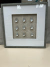 9 SEASHELLS PIC