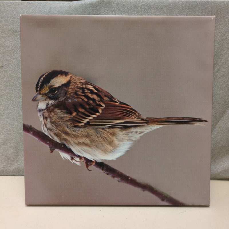 SQUARE BIRD PHOTO CANVAS