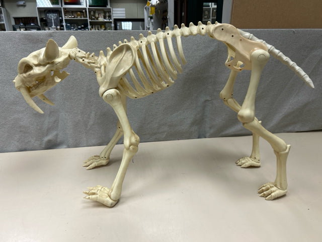 PLASTIC ANIMAL SKELETON