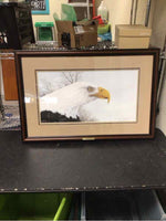 "THE INTRUDER" EAGLE DRAWING