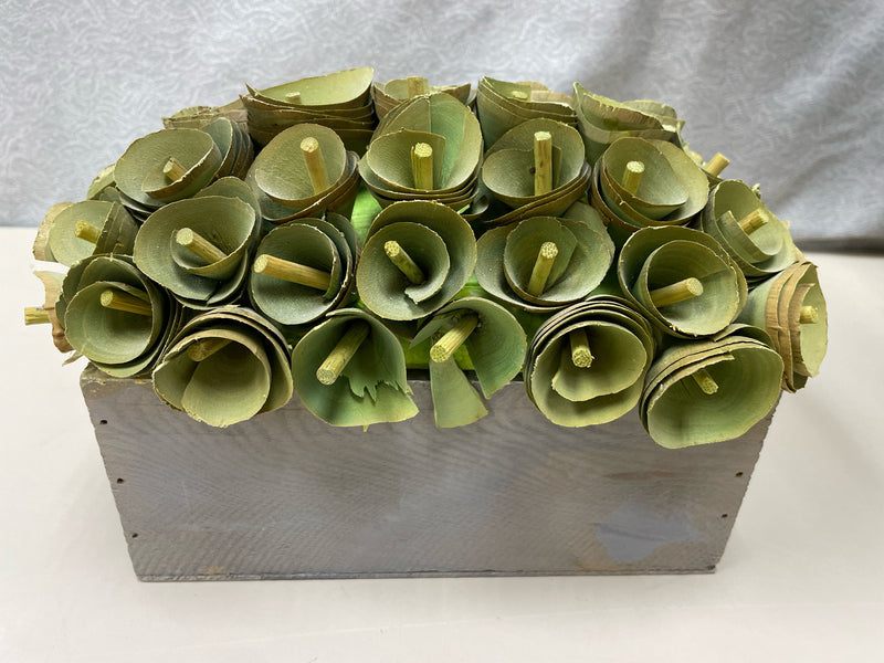 GREEN DRIED LEAVES IN PLANT BOX