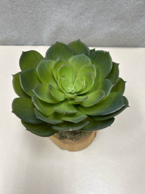 FAUX SUCCULENT IN WOOD STUMP