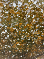 BROWN TREE W/WHITE CANVAS