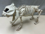PLASTIC ANIMAL SKELETON