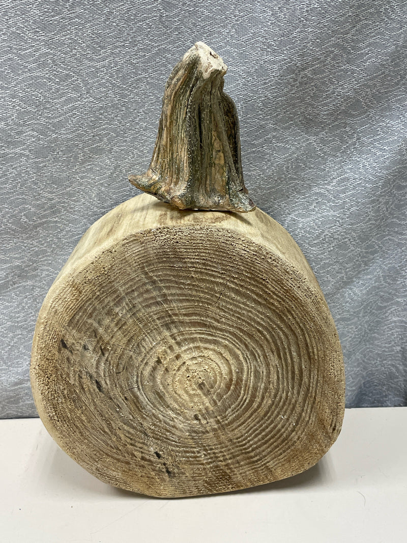 ASSOR TAN STUMP PUMPKIN CARVED