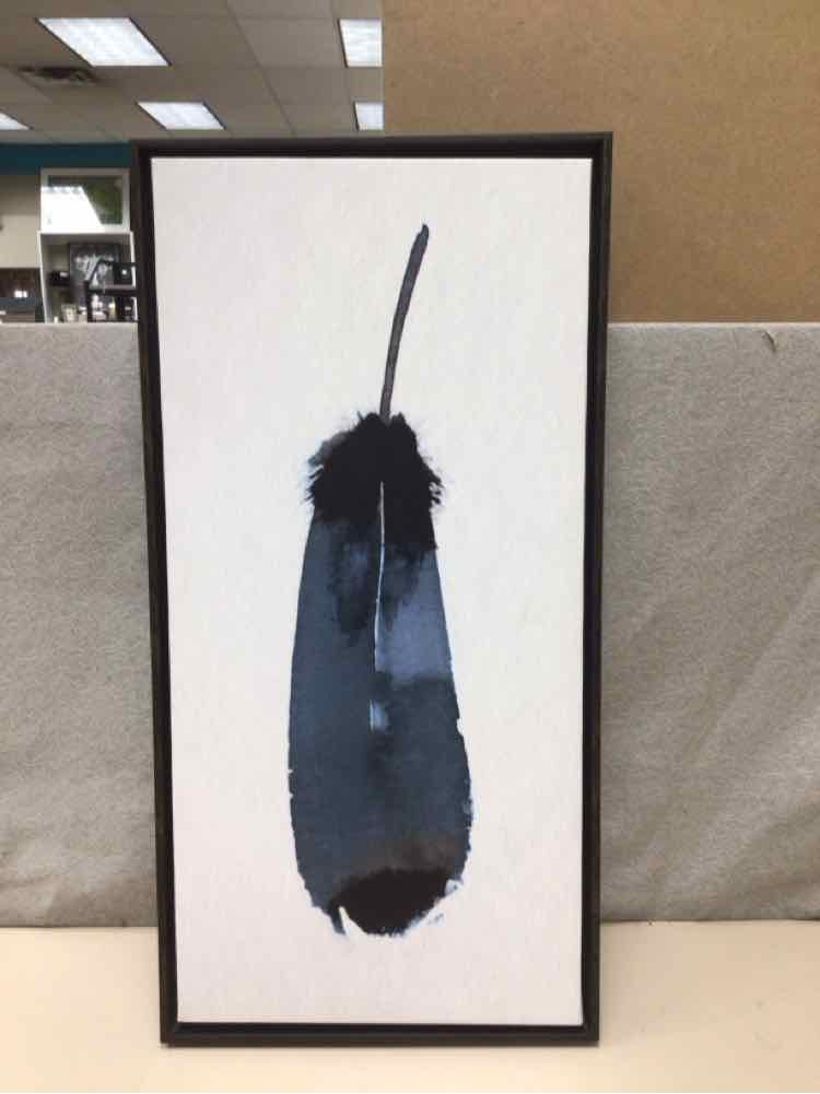 BLUE FEATHER PIC