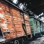 RAIL CART LARGE CANVAS