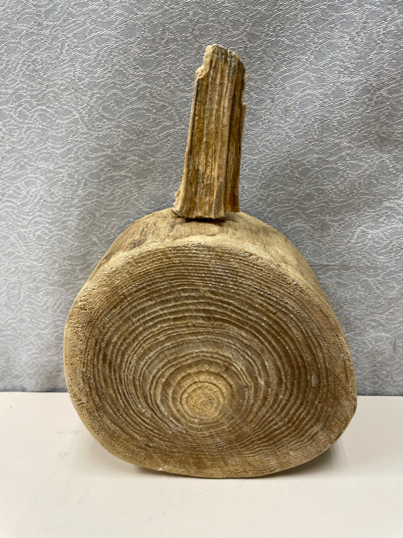 ASSOR TAN STUMP PUMPKIN CARVED
