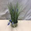 LAVENDER IN TERRACOTTA