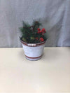 XMAS ARRANGEMENT IN BUCKET