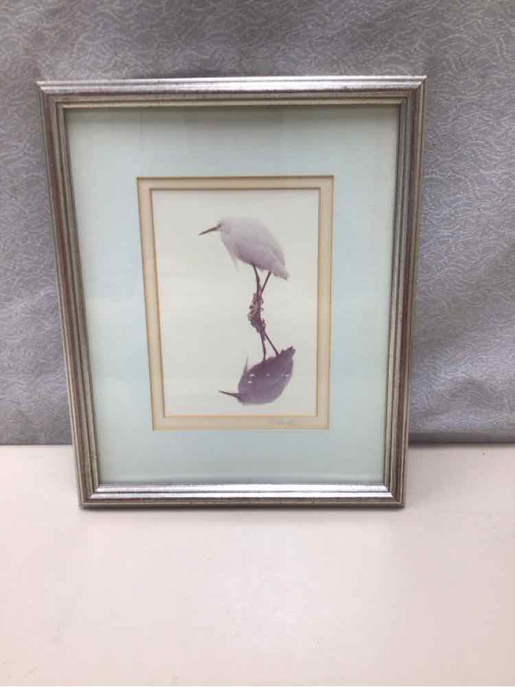 BIRD WITH REFLECTION ARTWORK