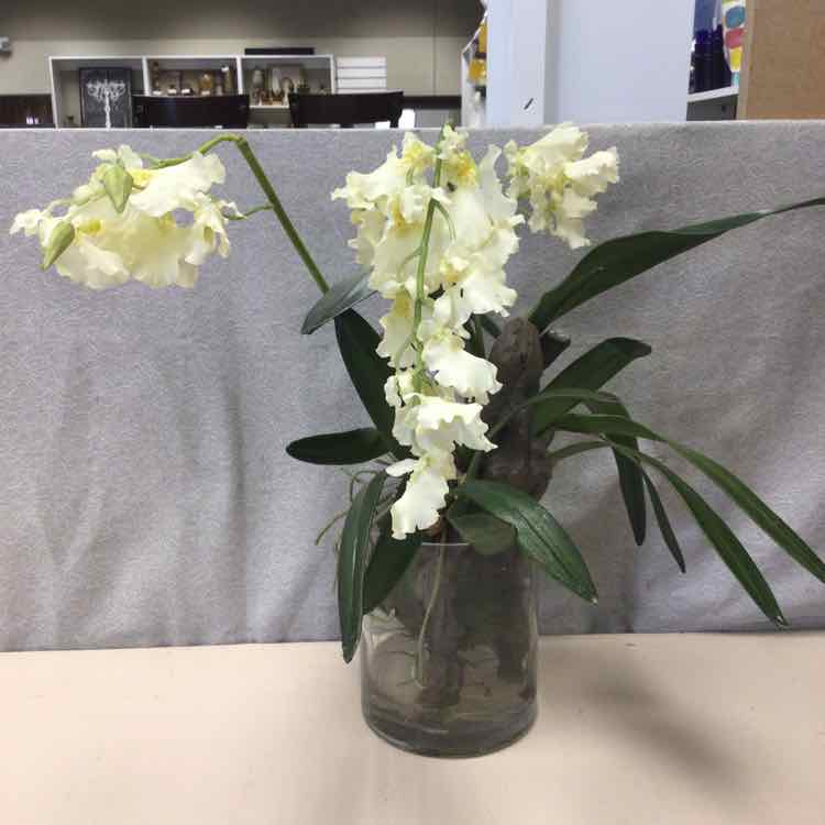 WHITE FLOWERS IN GLASS VASE