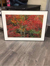 FALL TREE ARTWORK