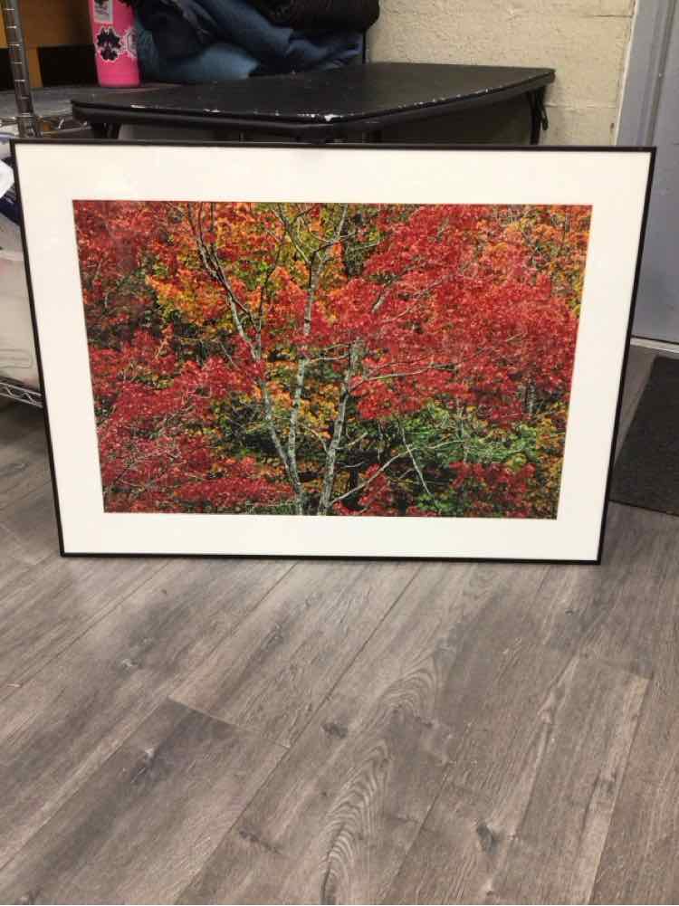 FALL TREE ARTWORK