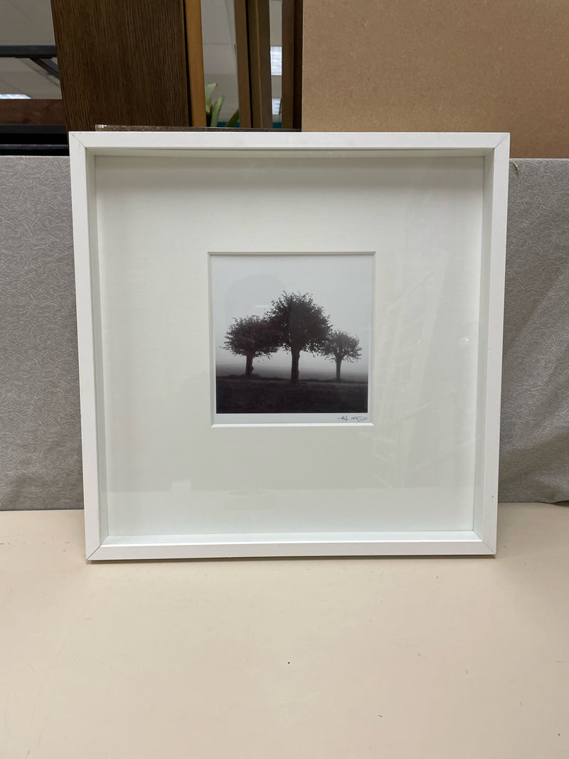 WHITE FRAME BLACK 3 TREES PIC