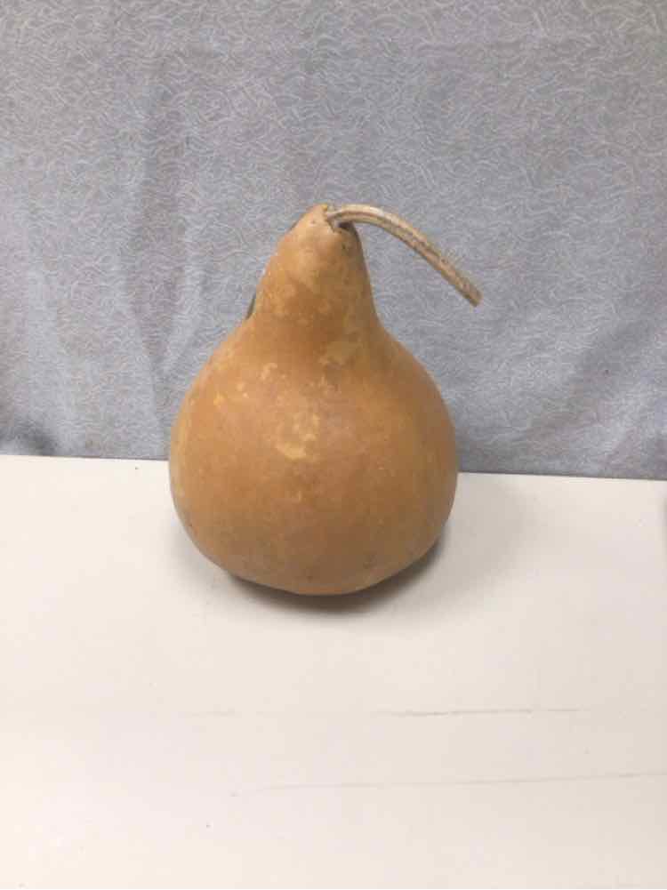 PAINTED GOURD W/CARDINAL
