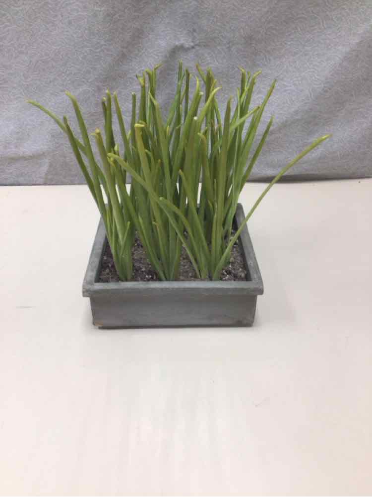 GRAY PLANTER WITH INSERT