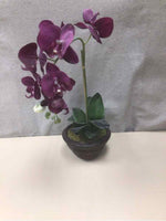 ASSORTED FAUX ORCHID