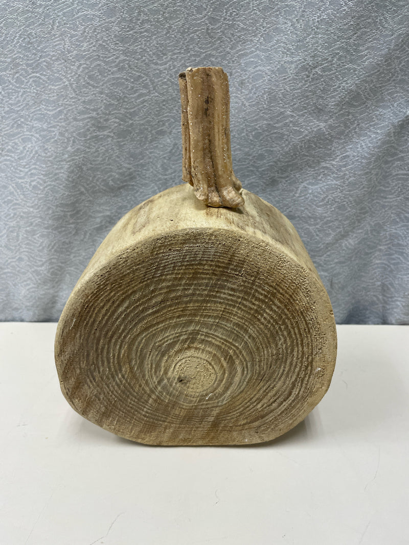 ASSOR TAN STUMP PUMPKIN CARVED