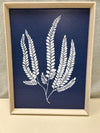 BLUE/WHITE LEAF PIC