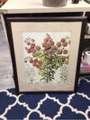 RED FLORAL BOTANICAL PIC