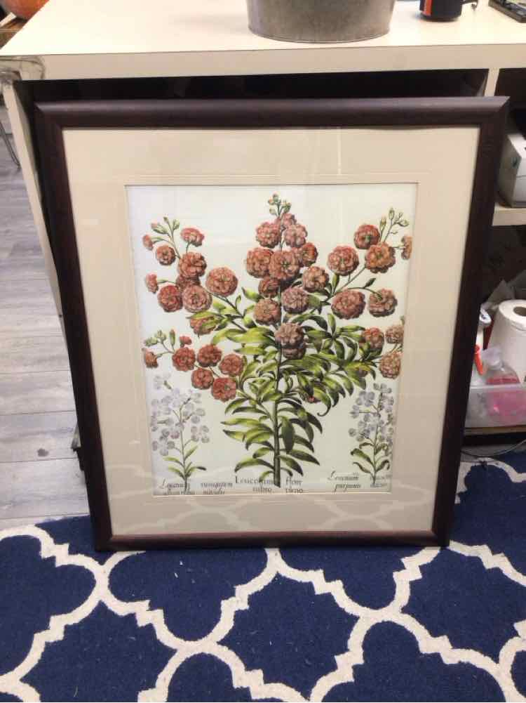 RED FLORAL BOTANICAL PIC