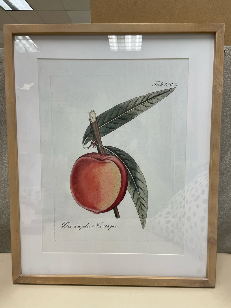 PEACH W/LEAF PIC