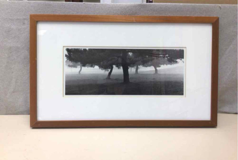 WOOD FRAME B/W TREE PIC