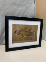 FISH FOSSIL IN MUD PHOTO