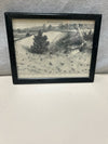 BLACK FRAME ANIMAL TRACKS PIC