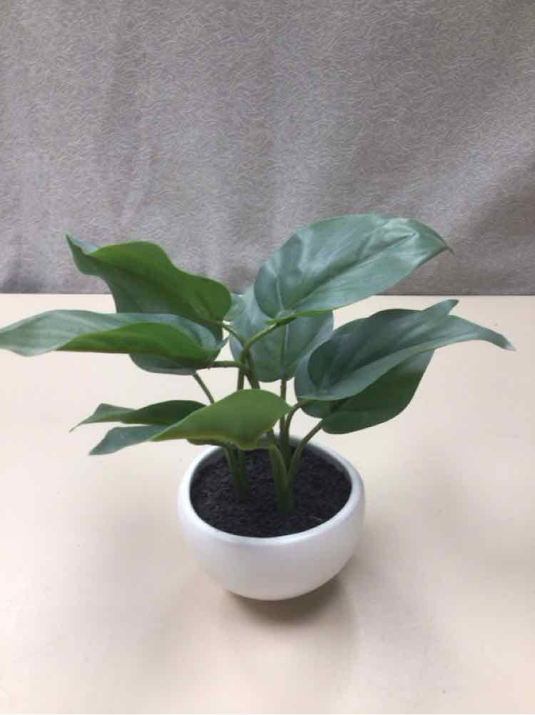 ARTIFICIAL PLANT WHITE POT