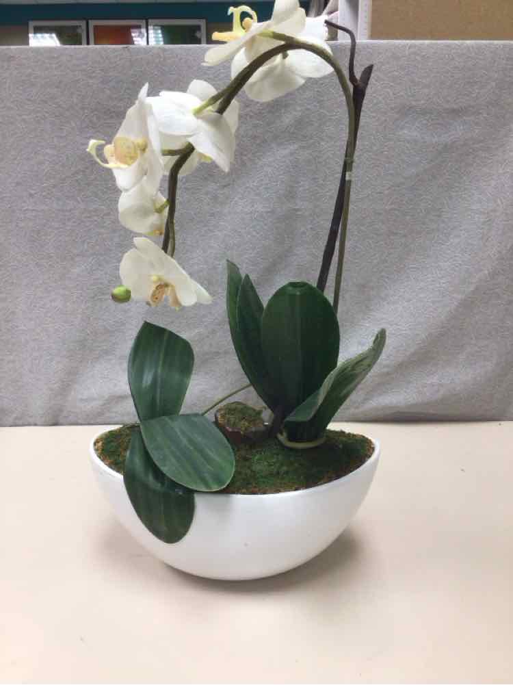FAUX PHALAENOPSIS ORCHIDS IN DECORATIVE BOWL