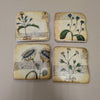 4 BOTANICAL COASTERS